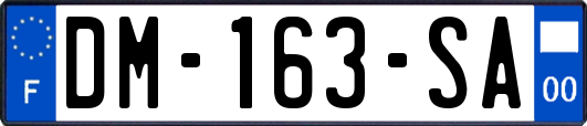 DM-163-SA
