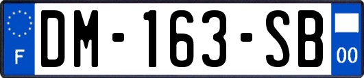 DM-163-SB