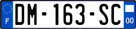 DM-163-SC
