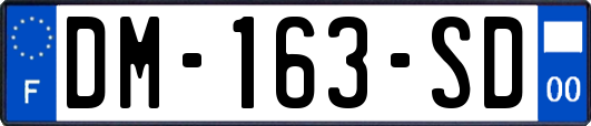 DM-163-SD
