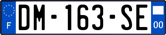 DM-163-SE