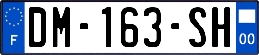 DM-163-SH