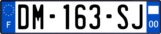 DM-163-SJ