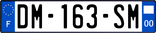 DM-163-SM