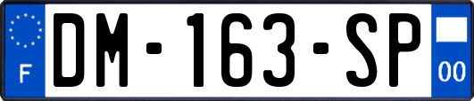 DM-163-SP