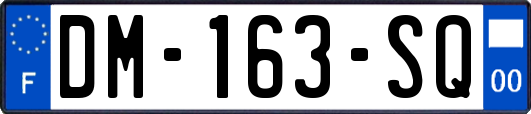DM-163-SQ