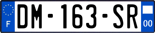 DM-163-SR