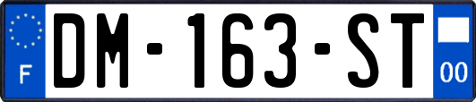 DM-163-ST