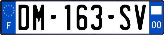 DM-163-SV