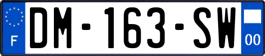 DM-163-SW