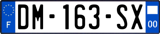DM-163-SX
