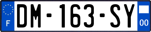 DM-163-SY