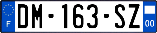 DM-163-SZ