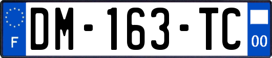 DM-163-TC