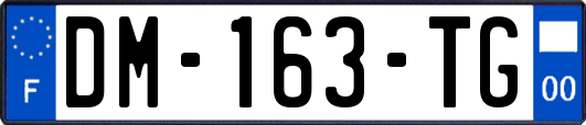 DM-163-TG
