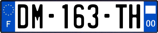 DM-163-TH