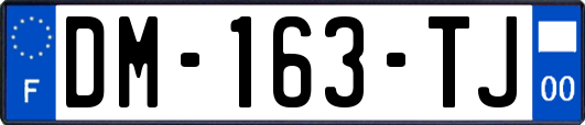 DM-163-TJ