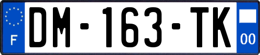DM-163-TK