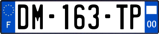 DM-163-TP