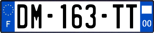 DM-163-TT