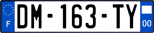 DM-163-TY