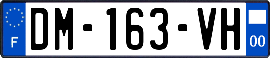 DM-163-VH