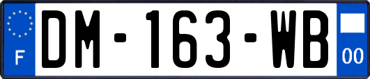 DM-163-WB