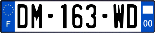 DM-163-WD