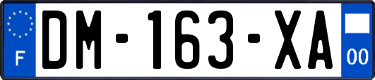 DM-163-XA