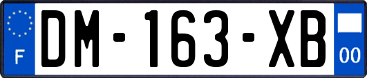 DM-163-XB