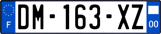 DM-163-XZ