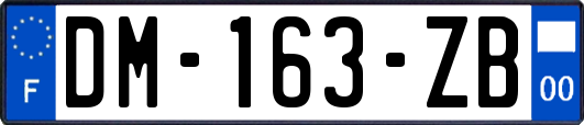 DM-163-ZB