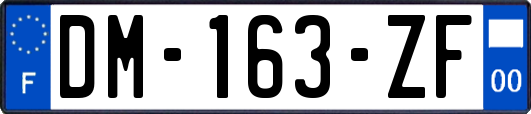 DM-163-ZF