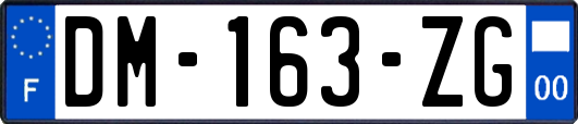 DM-163-ZG