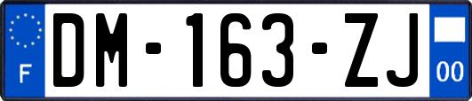 DM-163-ZJ