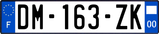 DM-163-ZK