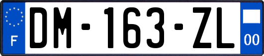 DM-163-ZL