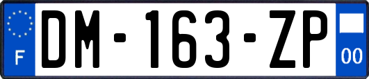 DM-163-ZP