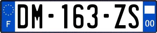 DM-163-ZS