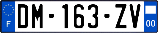 DM-163-ZV