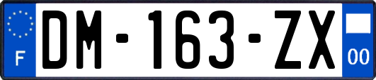 DM-163-ZX