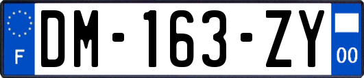 DM-163-ZY