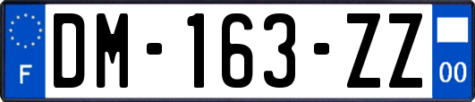 DM-163-ZZ