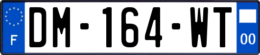 DM-164-WT