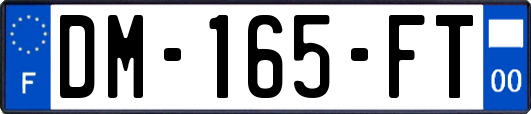 DM-165-FT