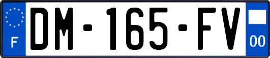 DM-165-FV