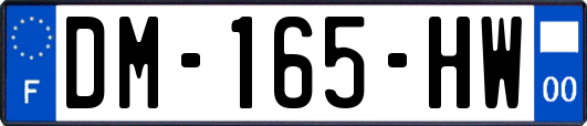 DM-165-HW