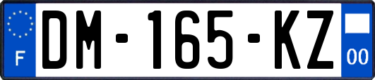 DM-165-KZ