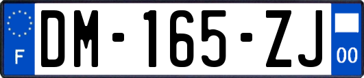 DM-165-ZJ