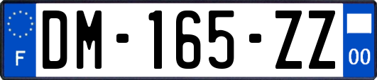 DM-165-ZZ